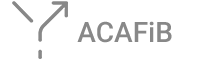 ACAFiB - Clinical Decision Support System